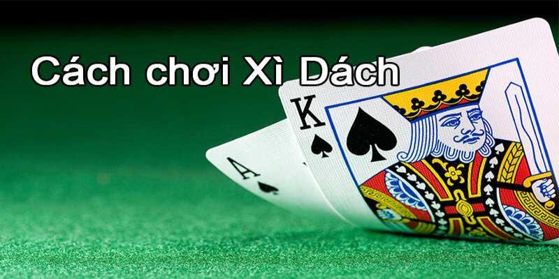 Chi tiết cách chơi xì dách online tại 8kbet