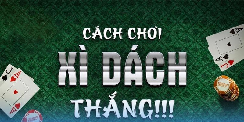 Xì Dách Online - Game Bài Thịnh Hành Top 1 Tại 8kbet